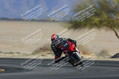 media/Feb-04-2023-SoCal Trackdays (Sat) [[8a776bf2c3]]/Turn 4 (Tree of Life 2pm)/